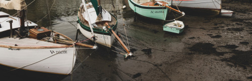 Les marchés du Golfe du Morbihan : une expérience à ne pas manquer !